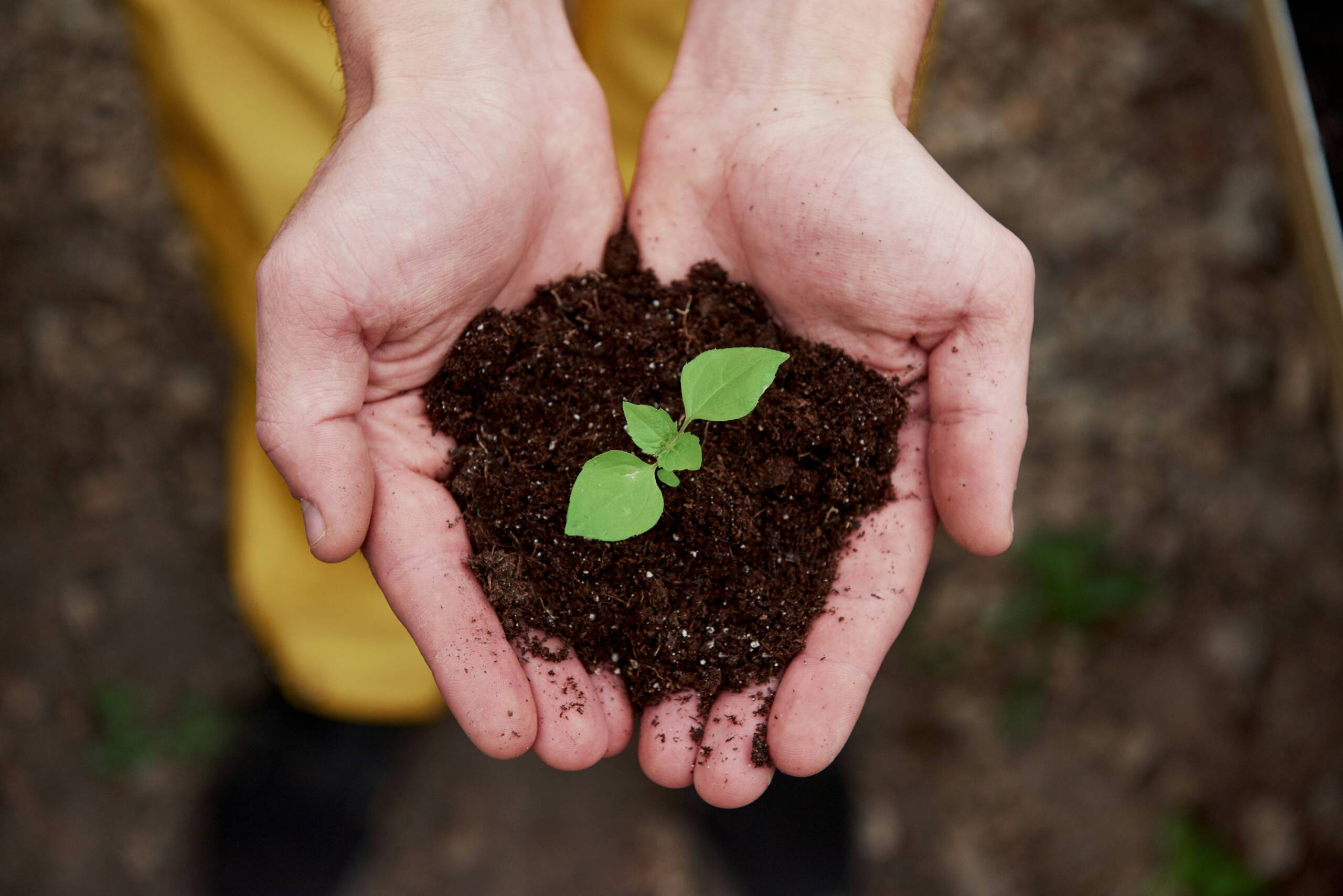Domestic Producers: How Standards Boost Your Bottom Line - iz87r5b